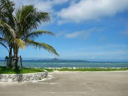 ethtmslaimon's profile picture. 