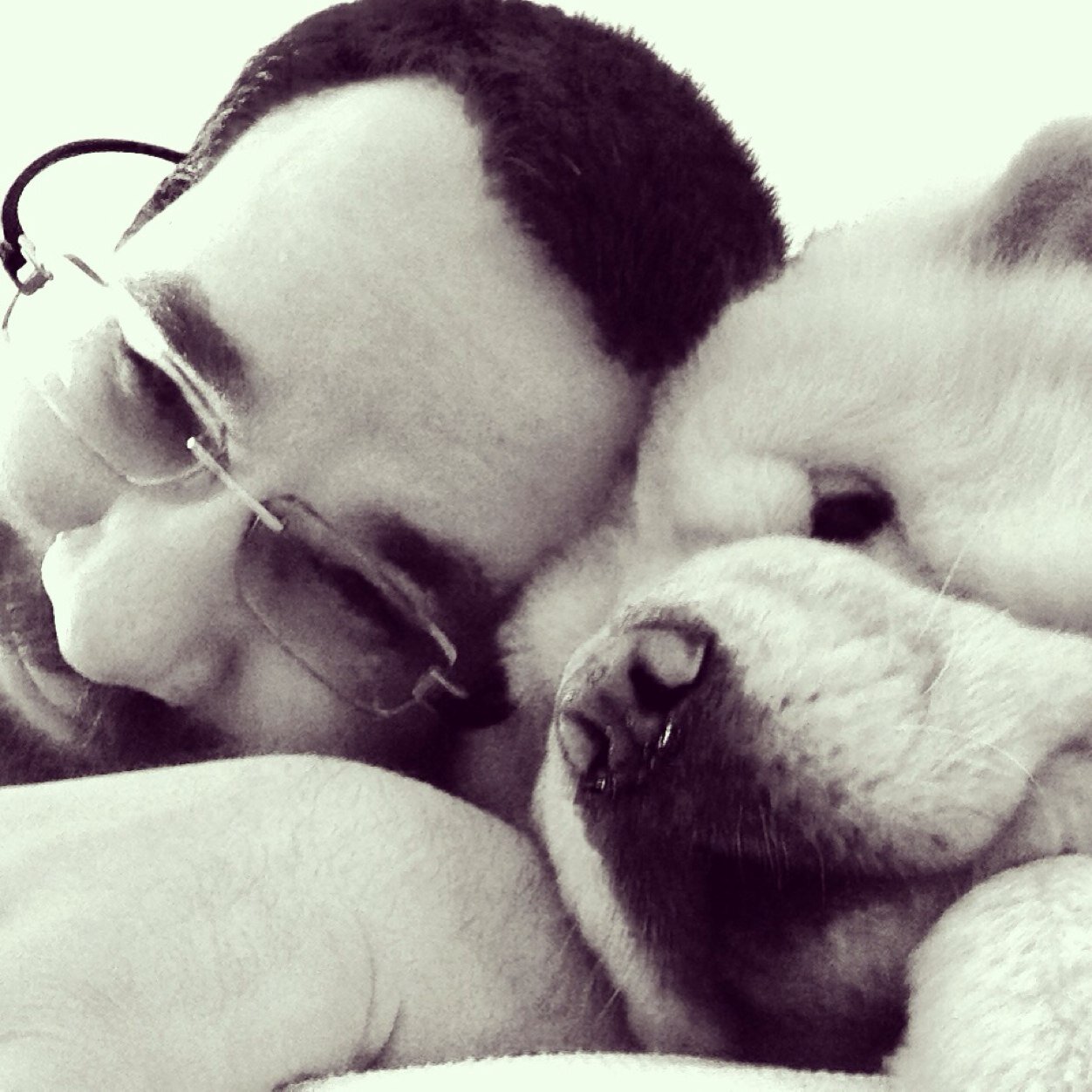 BorisMihajlovic's profile picture. 