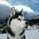 Rene Reyes - @ReneRey05462488 - Twitter