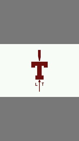 The unofficial Twitter of the MIT lightweight men.
