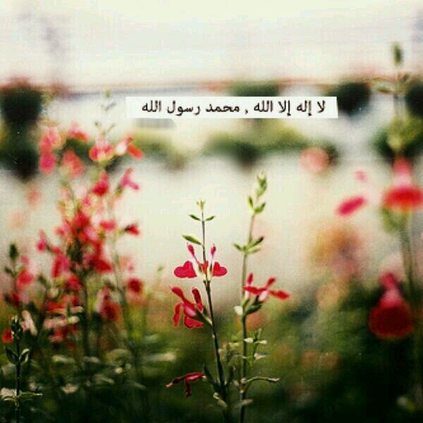 ‏أنا هنا؟ عشان أدلك على السعادة ، kik: be_optimistic_1