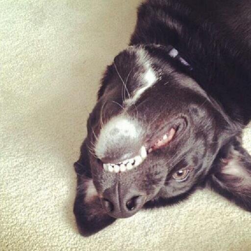 Greyson's baby.