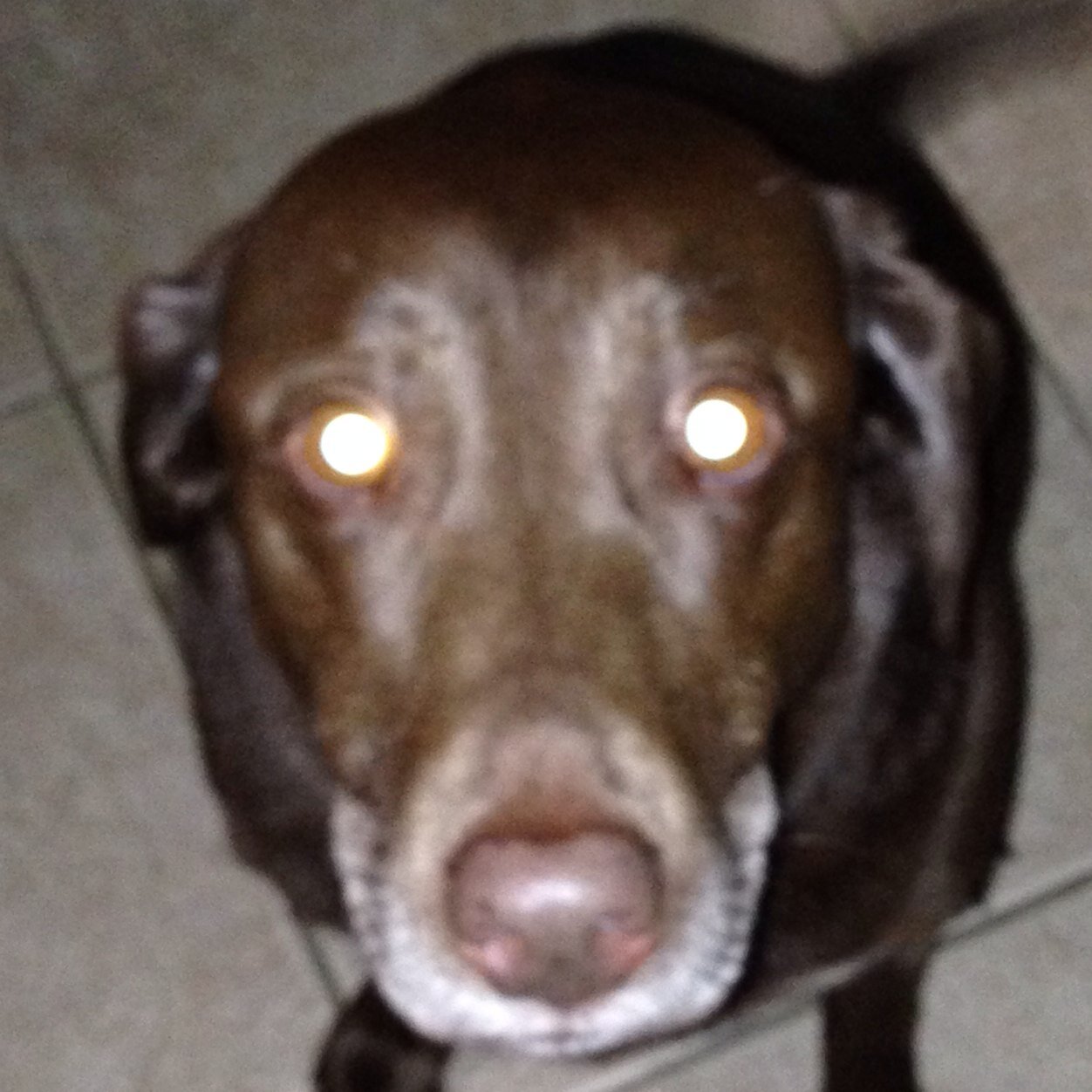 jennefour74's profile picture. 