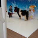桑原耕平 (@08021094298kk) Twitter