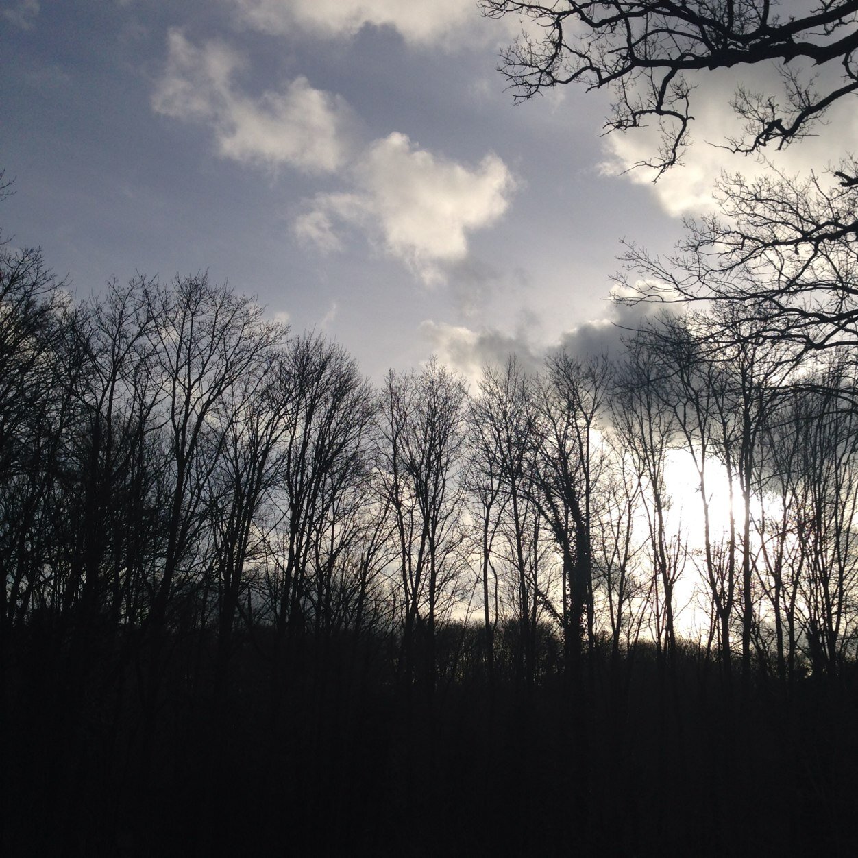 RichieJakes1's profile picture. Much goodness .