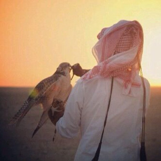 ash552014's profile picture. ججمعت فَي نبرآت صوتي عتبهاآ وغن غلطتي آستسمح آليومم وآتوب - #خالد_عبدالرحمن❤