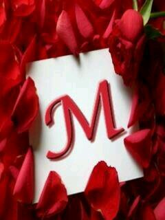 LimbadaNisha's profile picture. 