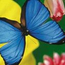 Rosa Maria Heras  - @1228Heras - Twitter