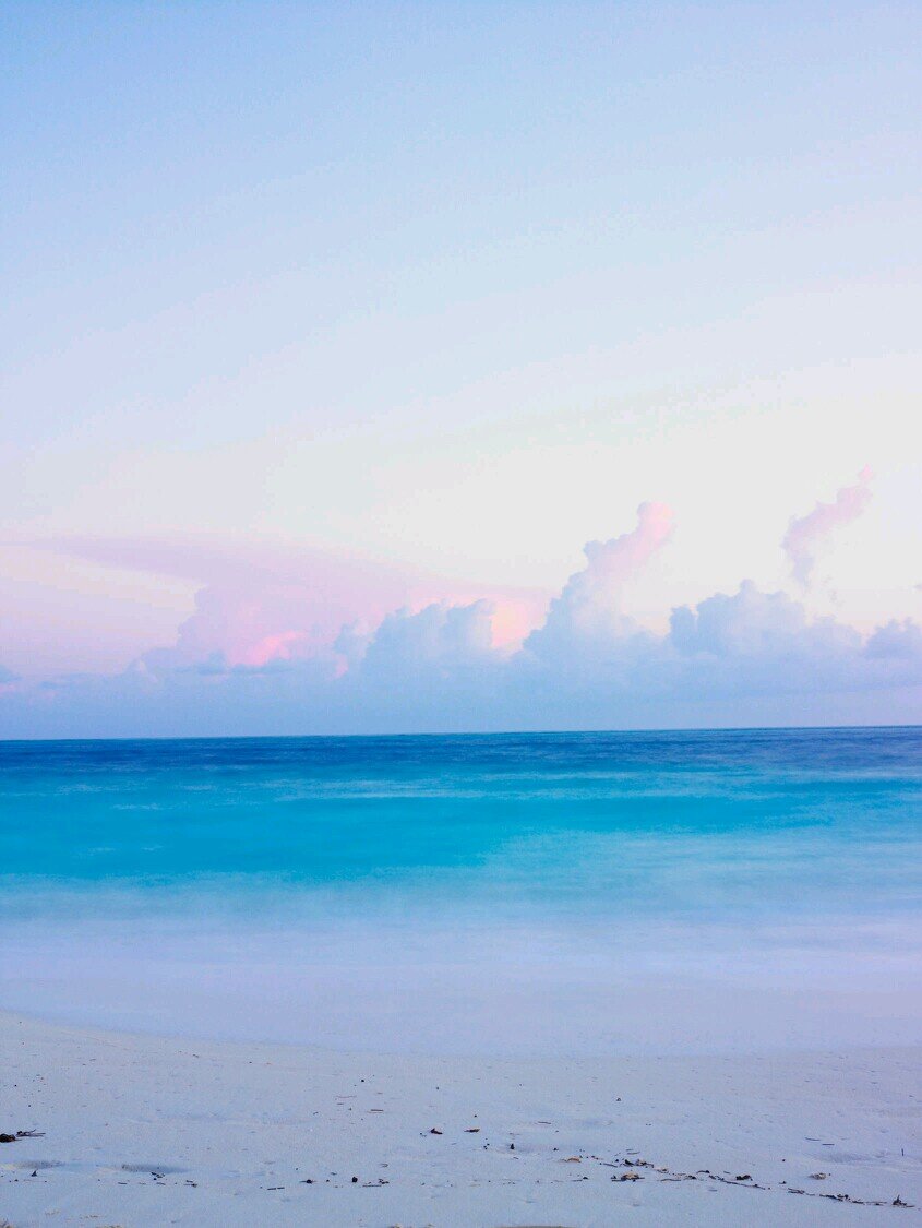 naturalflow's profile picture. 