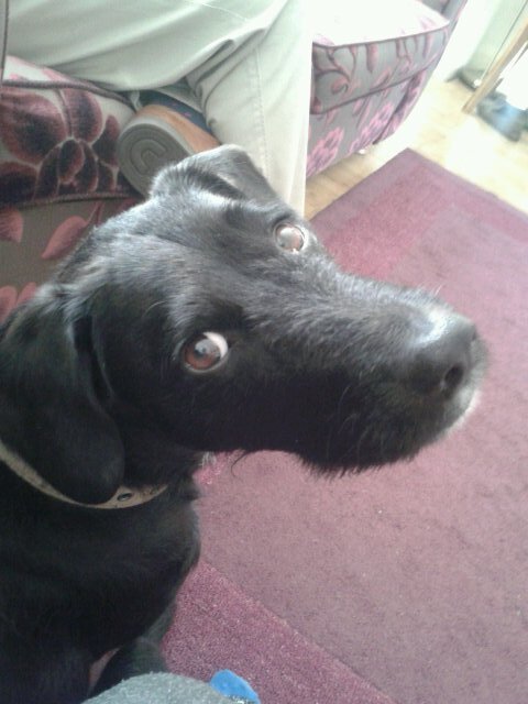 HubbahubbaBen's profile picture. 