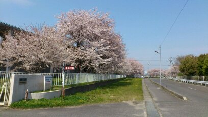 I am Japanese. If you are interested in Japan, please follow.