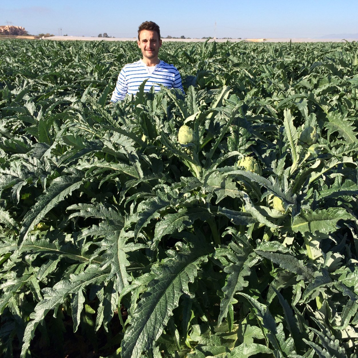 Ingeniero Técnico Agrícola Growing live!!