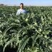 Cultiva#agrolink.es (@javierrillo) Twitter profile photo Cultiva#agrolink.es (@javierrillo) Twitter profile photo