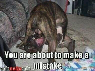 farm_cop's profile picture. Blue collar American guy who loves his family, his country, his freedom and his garden.