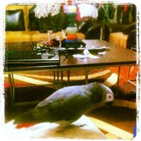 Melek Aysun Oktay (@melekaysunoktay) Twitter profile photo
