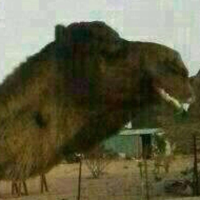 كالمطر ينفع وينبت ويغسل الأوساخ