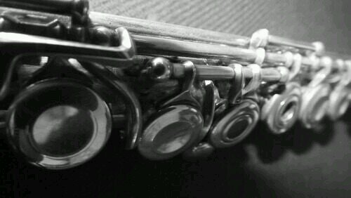 freshman marcher. flutist.