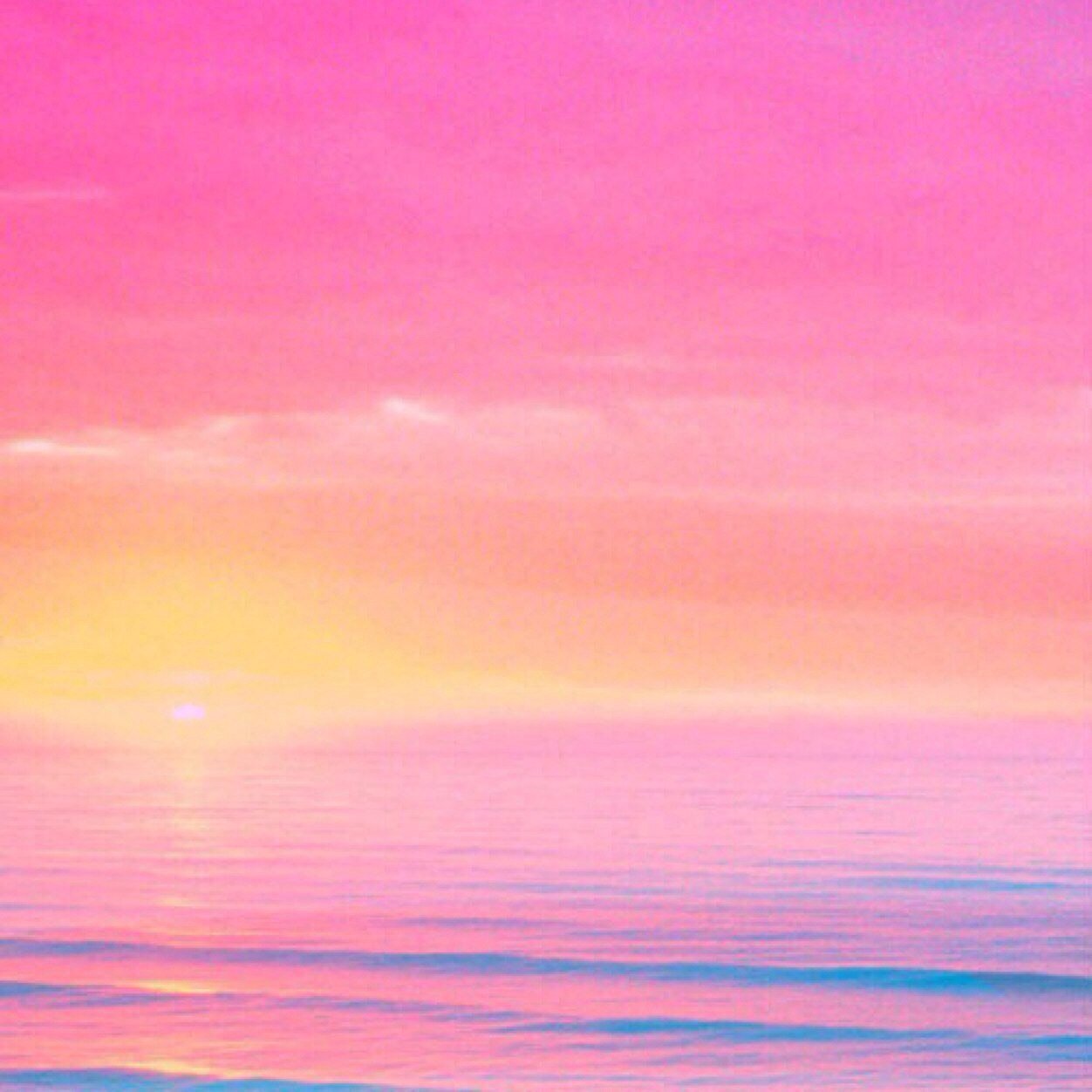 ArianaGrande833's profile picture. 