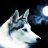 suehatton01's profile image