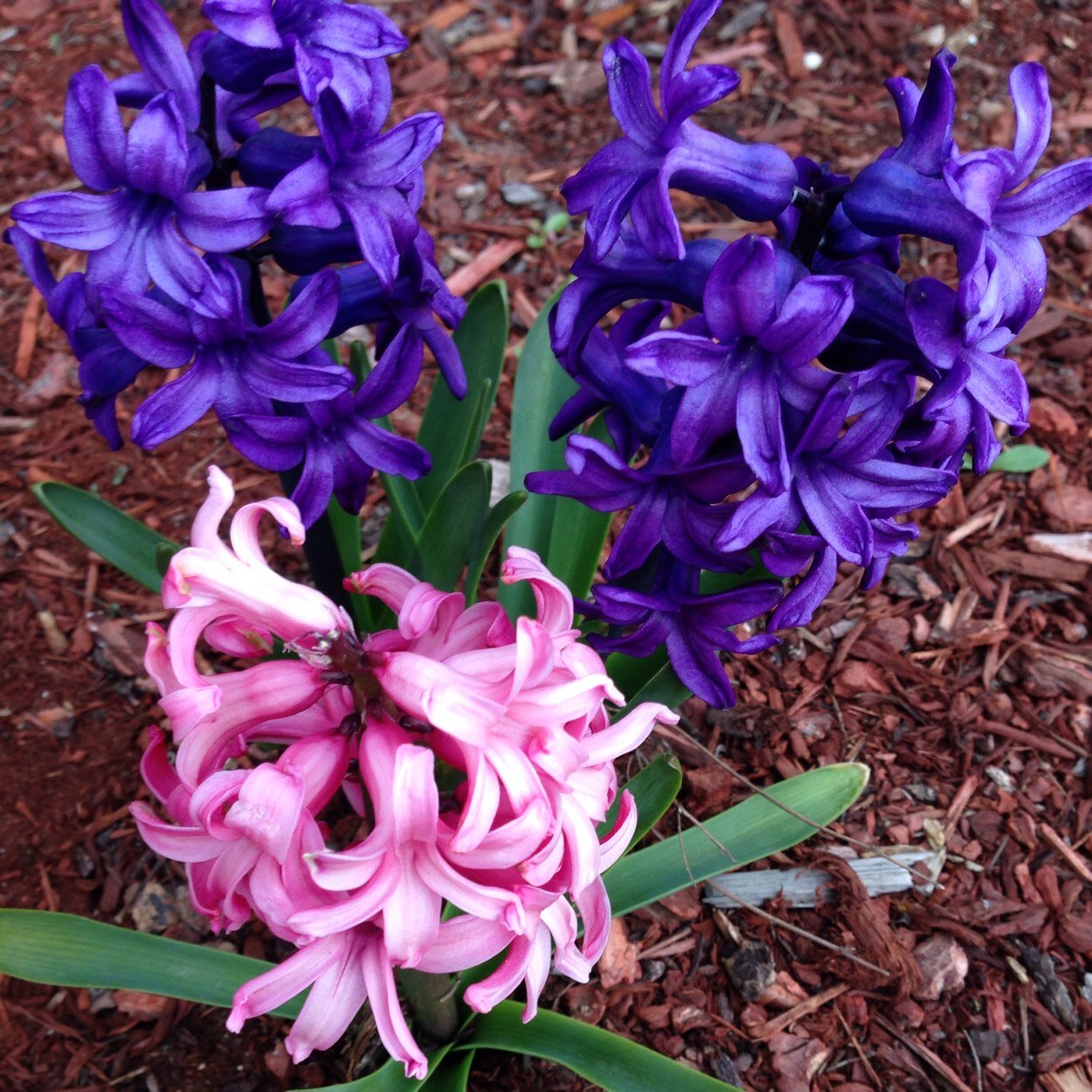 kimbrus's profile picture. 