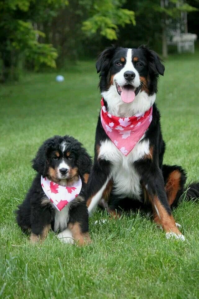 MunchNicole's profile picture. 