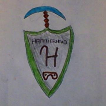I play Roblox, minecraft, realm, and a lot of 8 bit stuff.I am owner of the YouTube channel hammerheadgameING. My bud Allan gets credit to!