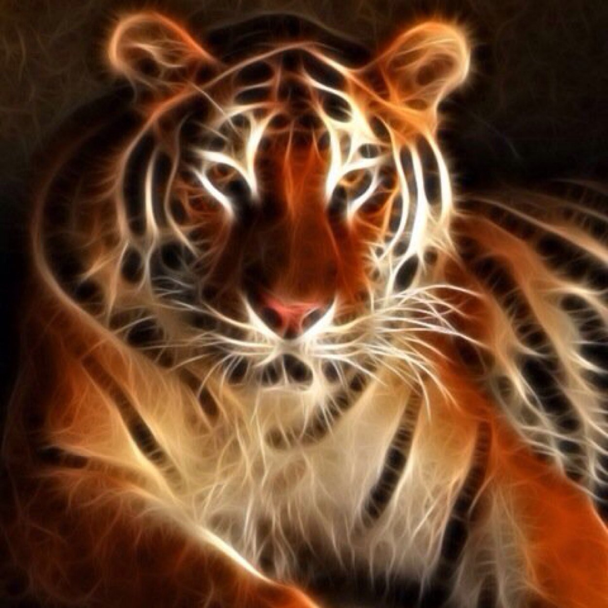 Kim_higgins2's profile picture. 