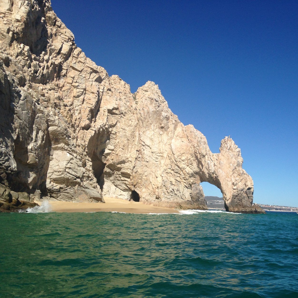 Gracie_Chgo's profile picture. 