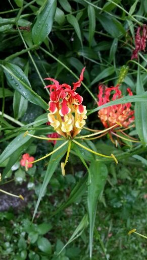 mommyminsik's profile picture. 인도네시아사는 주부입니다.. 모든걸 긍정적으로 보고싶지만 그게 안돼 항상 고민.. 그래도 으쌰으쌰 열심히 살려 노력중.. 좀 부끄럽지만 방탄 늦덕.. 애들 볼려고 트윗 다시합니다.