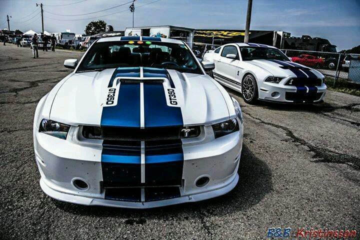 mohannadali48's profile picture. 