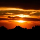 rosemary wright - @rmwright6078 - Twitter