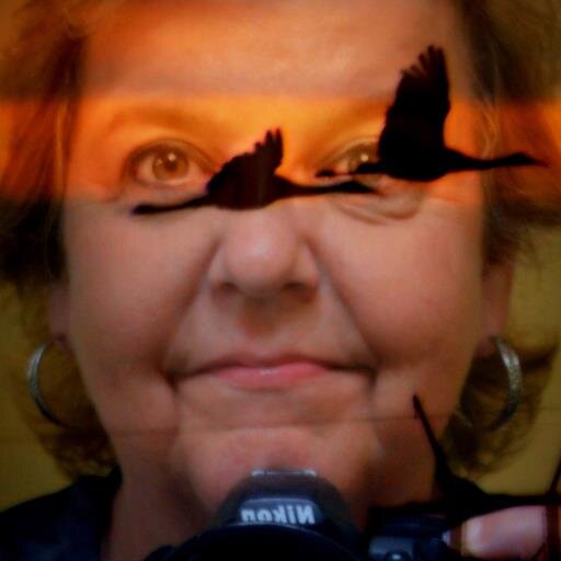 kruss98433's profile picture. Love owls+Duke+birding+photography+handmade+whimsy+nature, crafts+walking+art+design..you've got the picture. See http://t.co/5CXyO5US