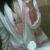ももの日常♡♡ (@peach_hime_momo) Twitter profile photo