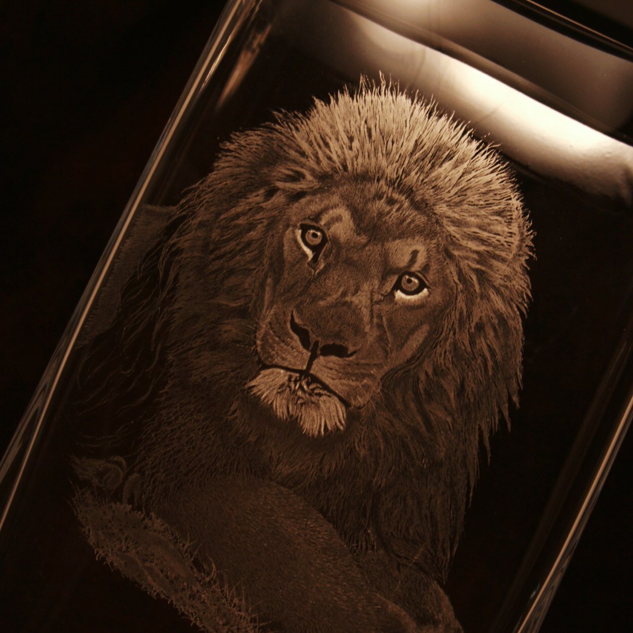 Justin Lawson Glass Engraving- Wildlife, Portraiture & Contemporary Artwork drill engraved by hand onto Glass & Crystal. Commissions welcome. Glass Engraver