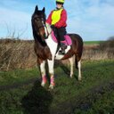 Aimee Palin - @aimee_palin - Twitter