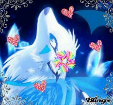 bellathewolfx's profile picture. hi i am bella i love to play # pack @CJthewolfx @JZthewolf @xxxplaywithmexx# i have wings #nice#sweet#kind#best owner ever @_lazari_