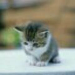 eyllece19's profile picture. 