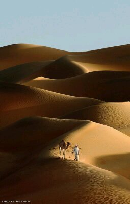 love my UAE متذوقه للشعر
