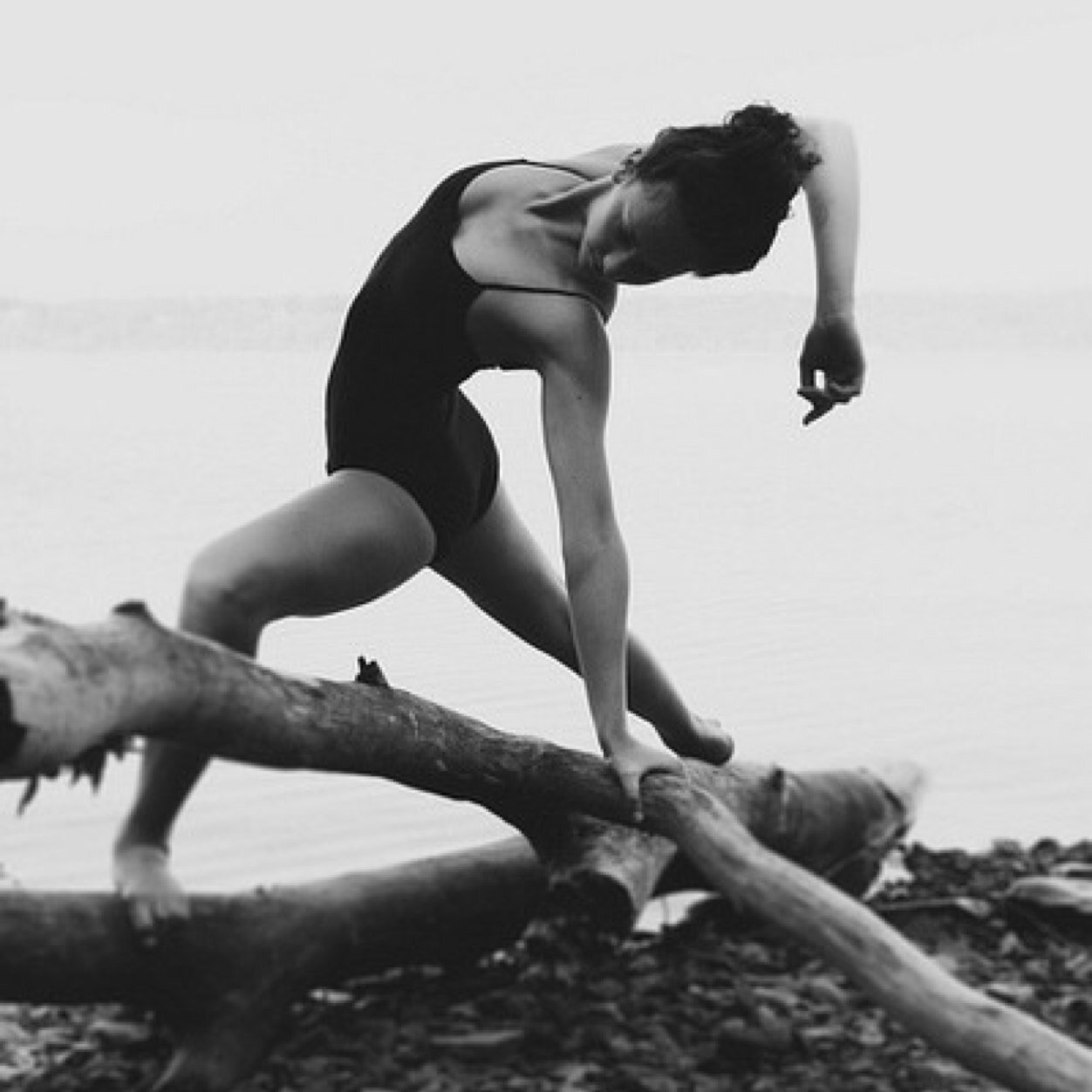 ddancerslife's profile picture. dance is a conversation between body & soul.