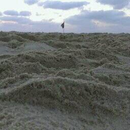 DoronZvi's profile picture. 