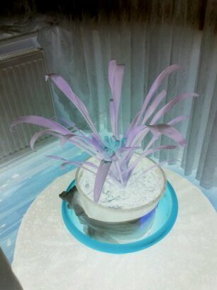 nevzatcevik03's profile picture. 