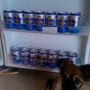 Patrick Doran - @PatrickDoran3 - Twitter