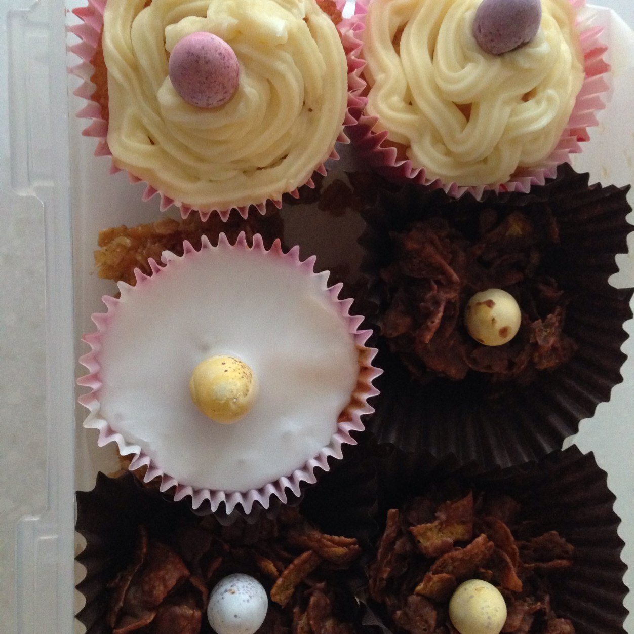 rosebudofc's profile picture. 