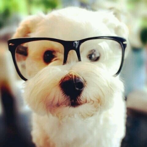 yumiwadaue's profile picture. 