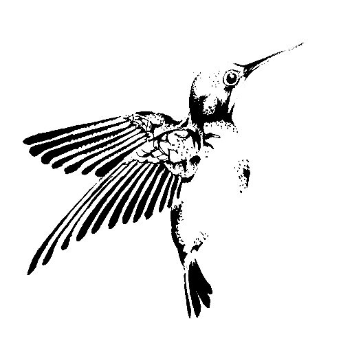 Artist and Illustrator.