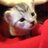 KelleyCreates's profile image