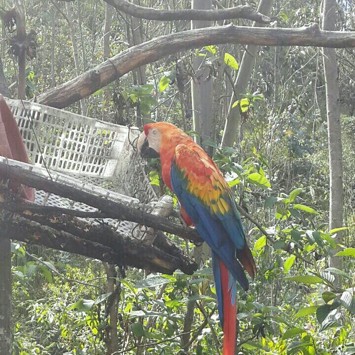 ParedezClever's profile picture. 