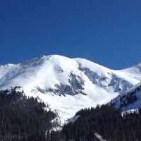Marlene Dixon (@marleneadixon) 's Twitter Profile