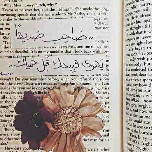 Naifailjwmani's profile picture. 