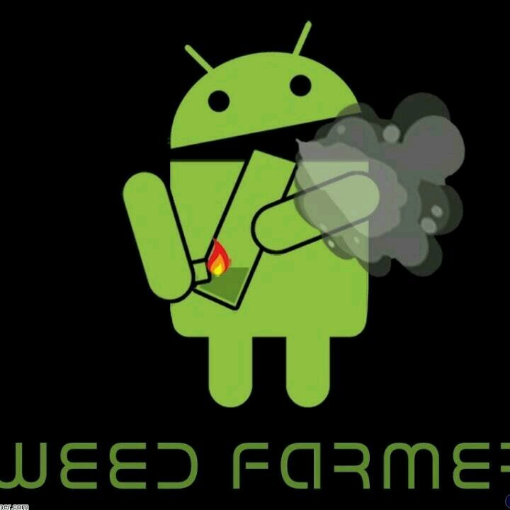 marcoco420's profile picture. 